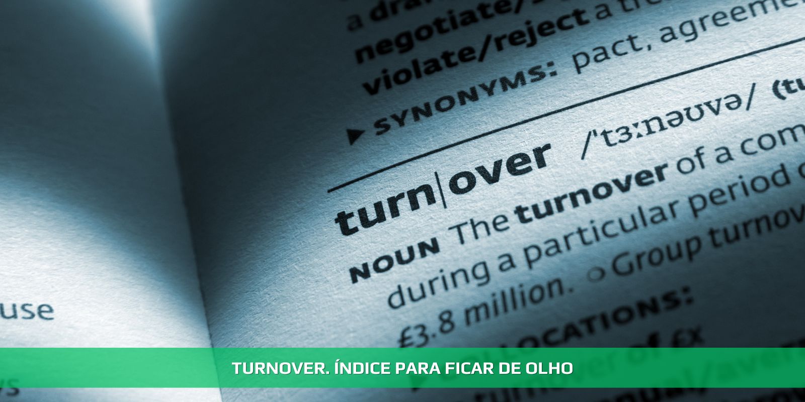 TURNOVER E A QUALIDADE DO AMBIENTE EMPRESARIAL
